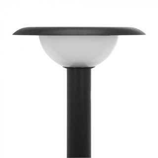 Fungo Lantern Head